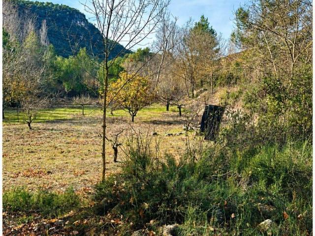 Terreno en venta en Conca de Barberà, Catalunya
