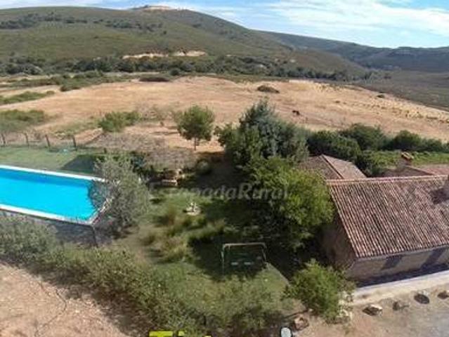 Casa en alquiler en Guadalupe