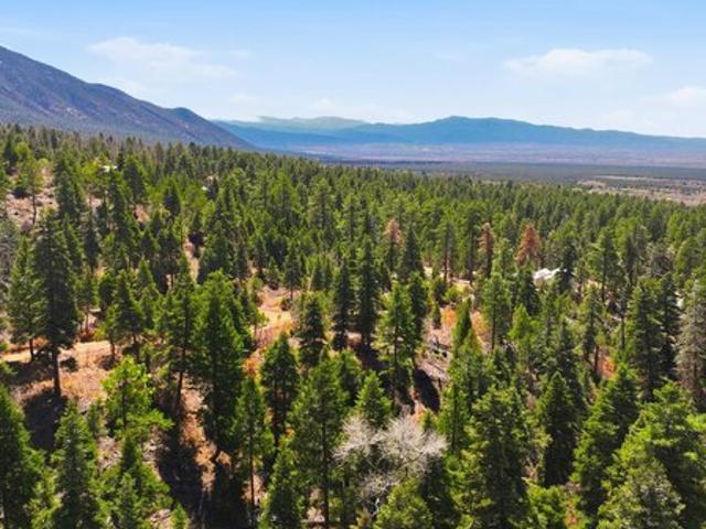 Land for sale in Arroyo Seco, New Mexico