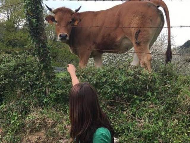Casa en alquiler en Cangas De Onís, Asturias