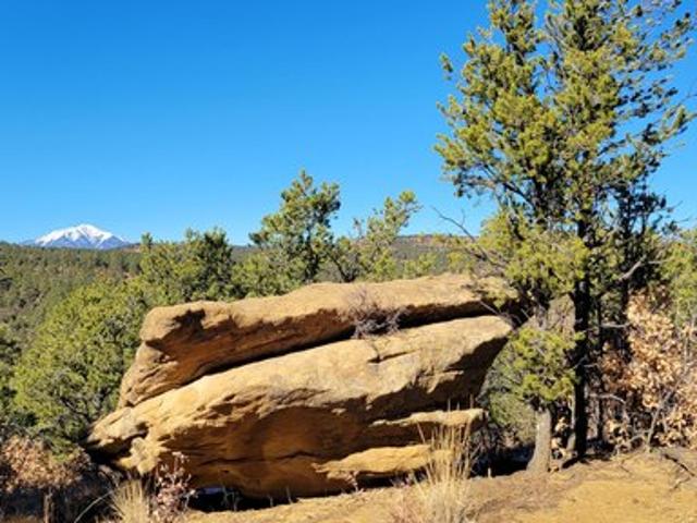 Land for sale in Boncarbo, Colorado