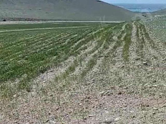 Baskil, Elaziğ içerisinde satılık mülk