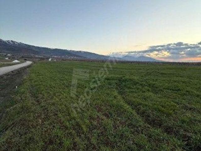 Elazığ Merkez, Elaziğ içerisinde satılık Arsa
