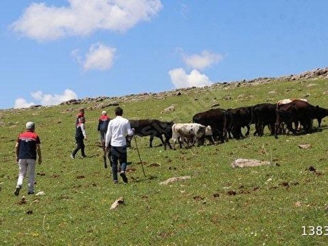 Elazığ Merkez, Elaziğ içerisinde satılık Arsa