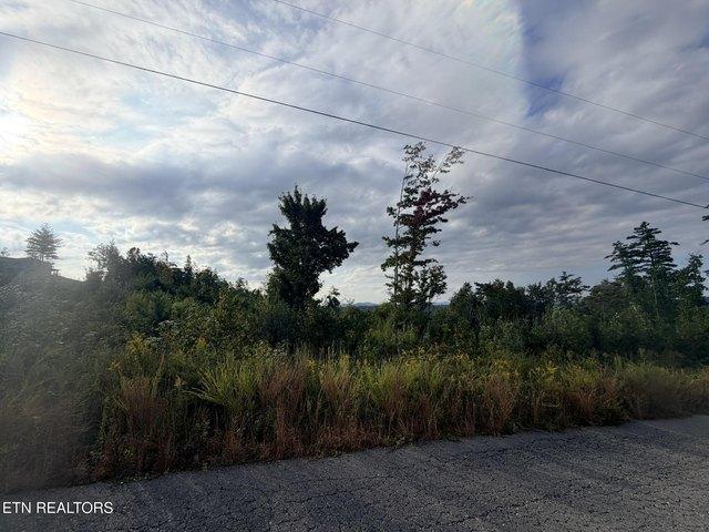 Land for sale in Tennessee