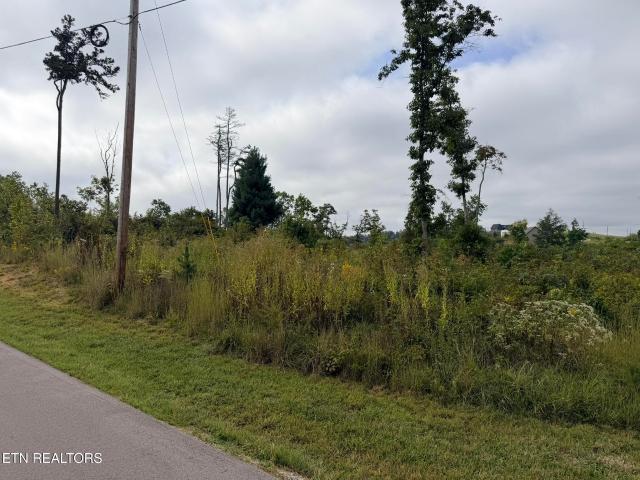 Land for sale in Tennessee