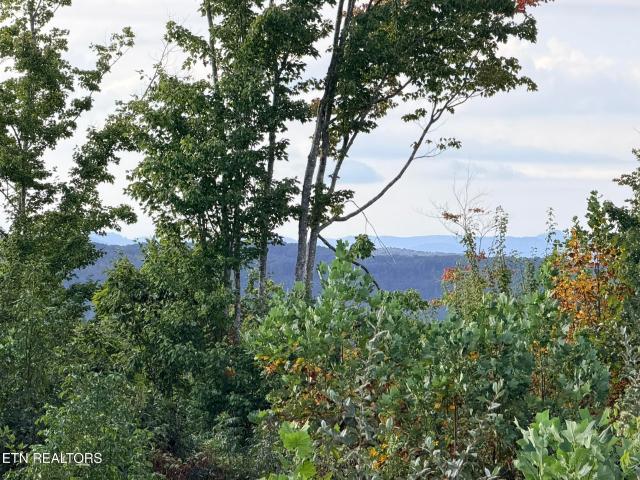 Land for sale in Tennessee