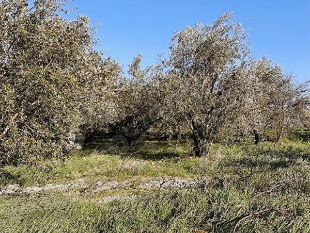 Mut, Mersin içerisinde satılık Arsa