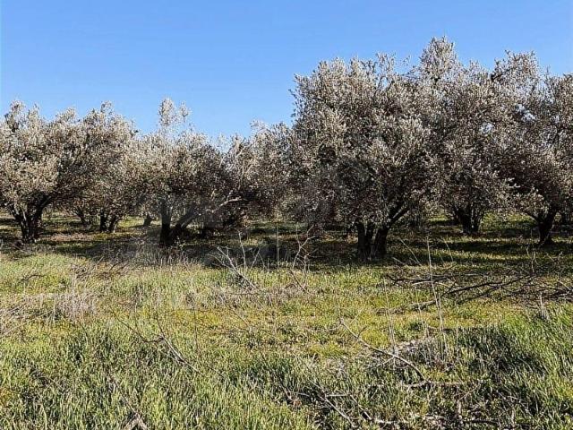 Mut, Mersin içerisinde satılık mülk
