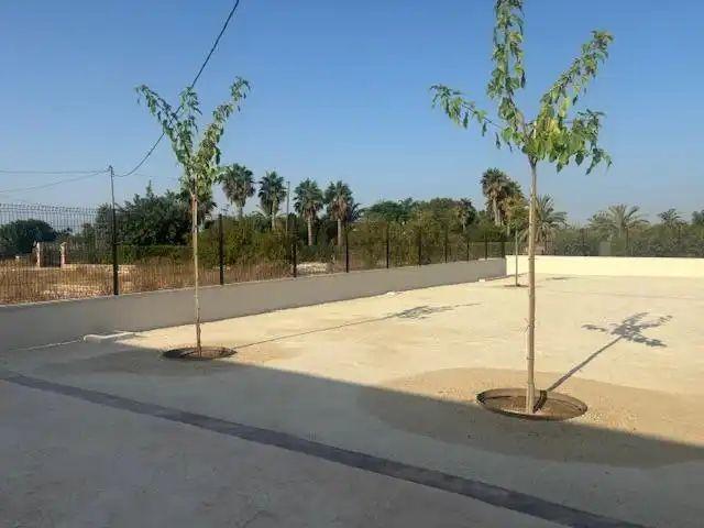 Apartamento en alquiler en Algorós, el Baix Vinalopó