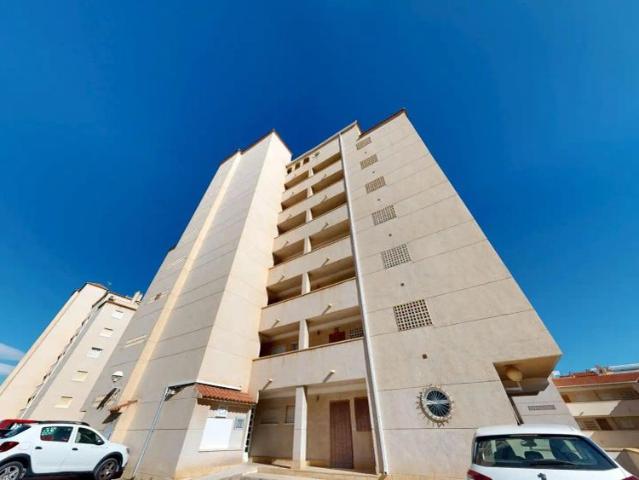 Apartamento en alquiler en Complejo Bella Vista, Elx / Elche