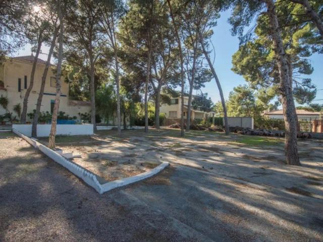 Apartamento en alquiler en el Vinalopó Mitjà / El Vinalopó Medio, Valencia