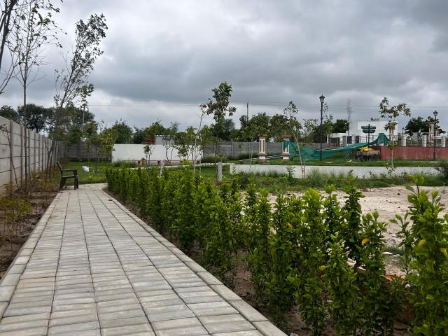 Land for sale in Hariana
