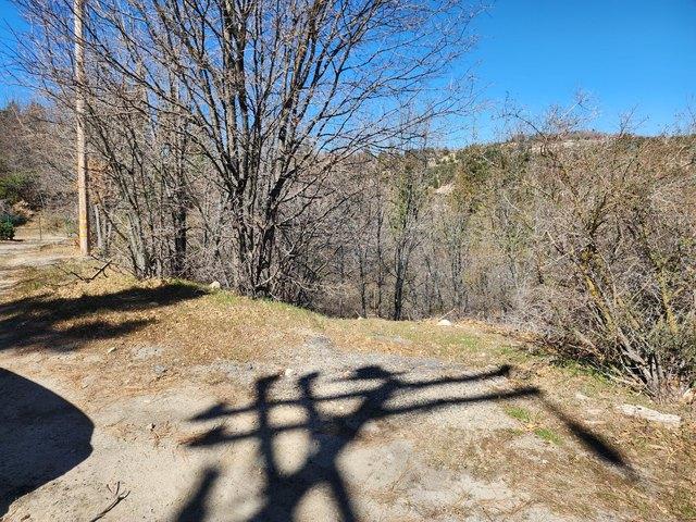 Land for sale in Cedar Glen, California