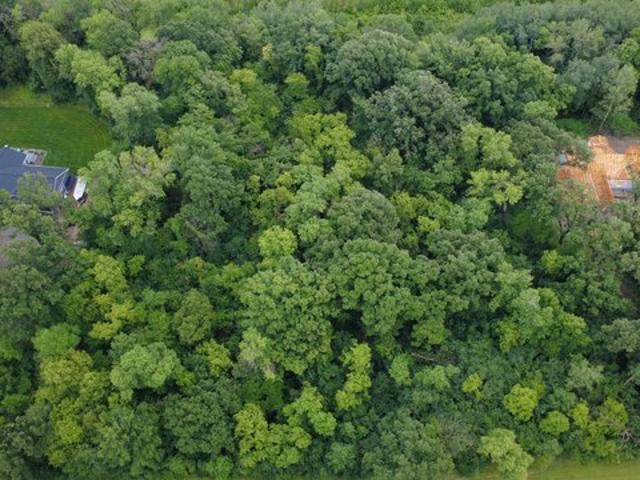 Land for sale in Mcleod, Minnesota