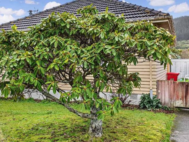 House for rent in Upper Hutt, Wellington