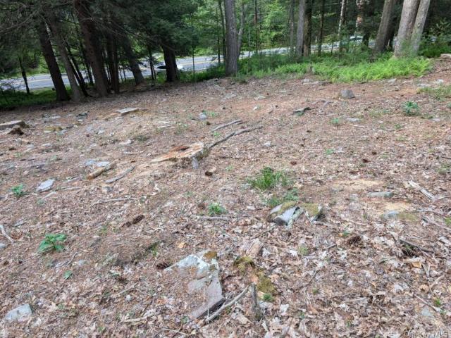 Land for sale in Yulan, New York