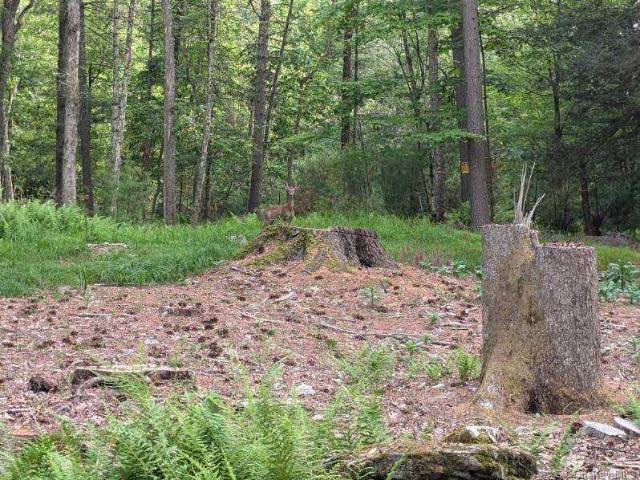 Land for sale in Yulan, New York