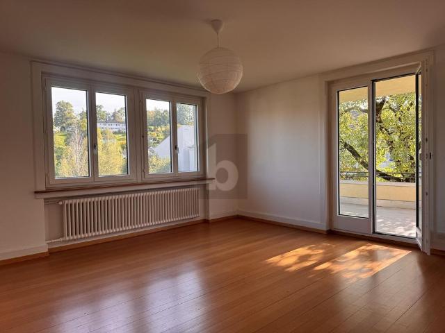 Apartment mieten in Altstadt, Luzern