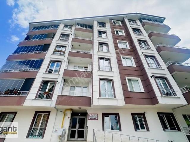Merkez Mahallesi, Ardeşen içerisinde kiralık mülk