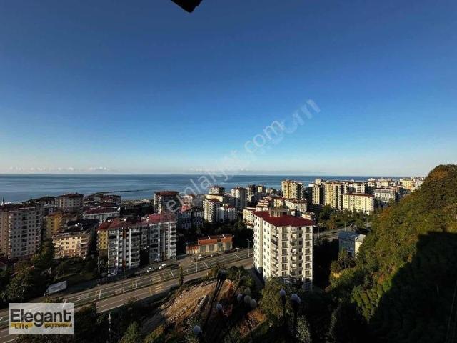 Rize içerisinde satılık mülk