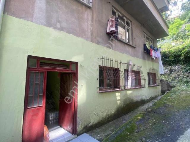 Rize içerisinde kiralık mülk