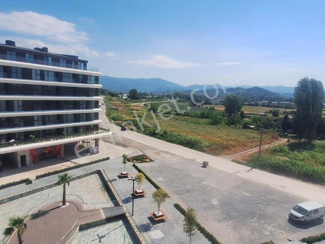 Yalova Merkez, Yalova içerisinde kiralık mülk