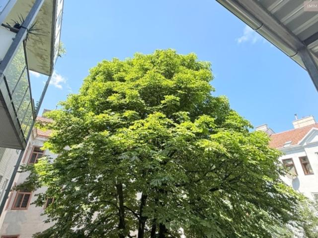 Terrassenwohnung kaufen in KG Leopoldstadt, Wien