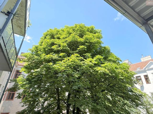Apartment kaufen in Donaustadt, Wien