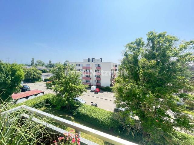 Wohnung kaufen in Frankenthal Kernstadt, Frankenthal