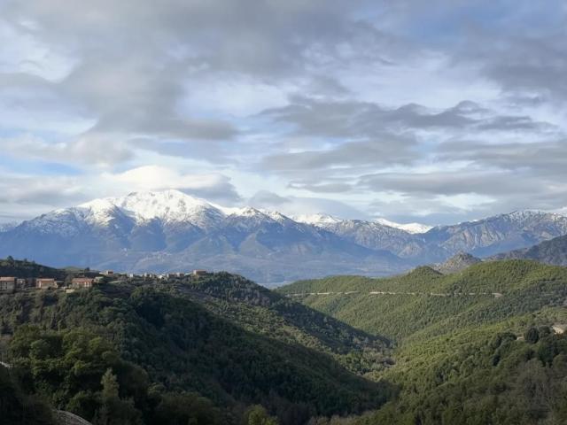 Appartement vente à Corte, Mazzola
