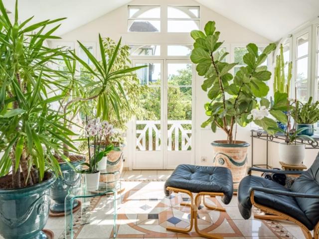 Maison vente à Saint-Germain-en-Laye, Le Vésinet