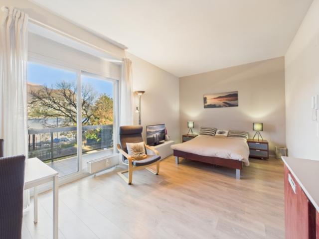 Wohnung kaufen in Paradiso, Tessin