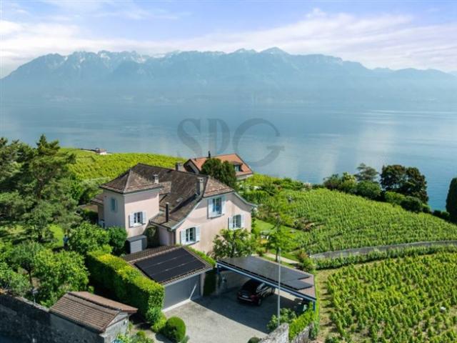 Einfamilienhaus kaufen in Bourg-en-Lavaux, Waadt