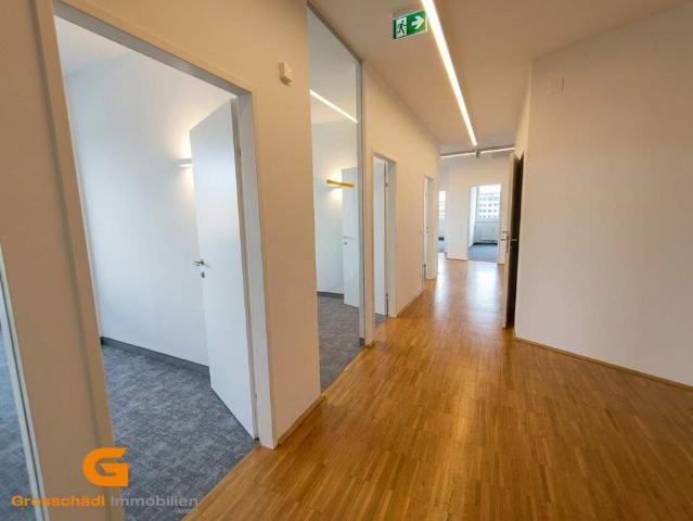 Gewerbe mieten in Hagenau, Salzburg