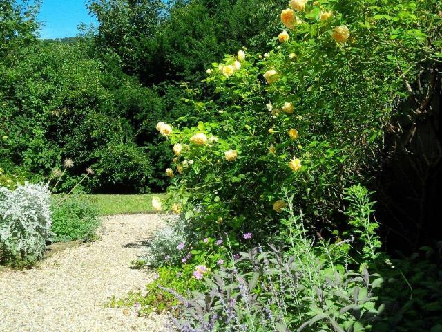 Haus mieten in Weidling, Klosterneuburg