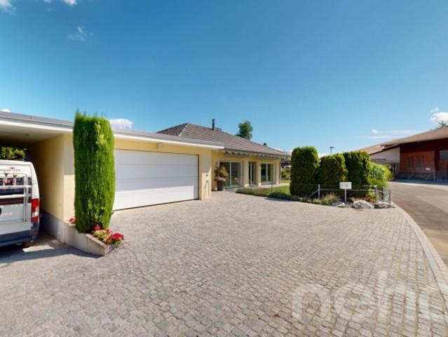 Einfamilienhaus kaufen in Eschenz, Thurgau