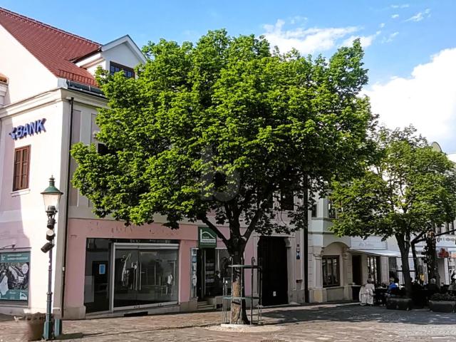 Immobilie mieten in Eisenstadt, Burgenland