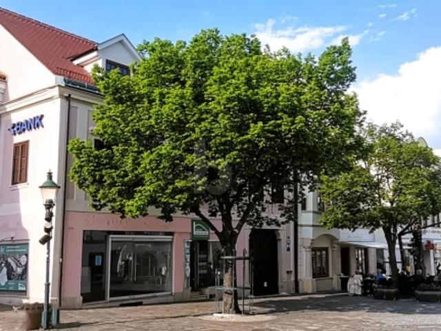 Gewerbe mieten in Eisenstadt, Burgenland