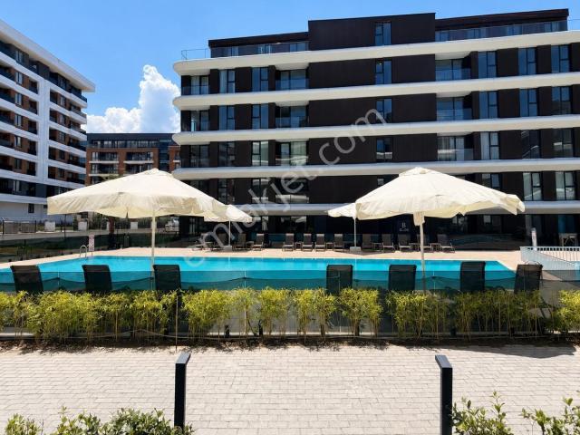 Yalova Merkez, Yalova içerisinde kiralık mülk
