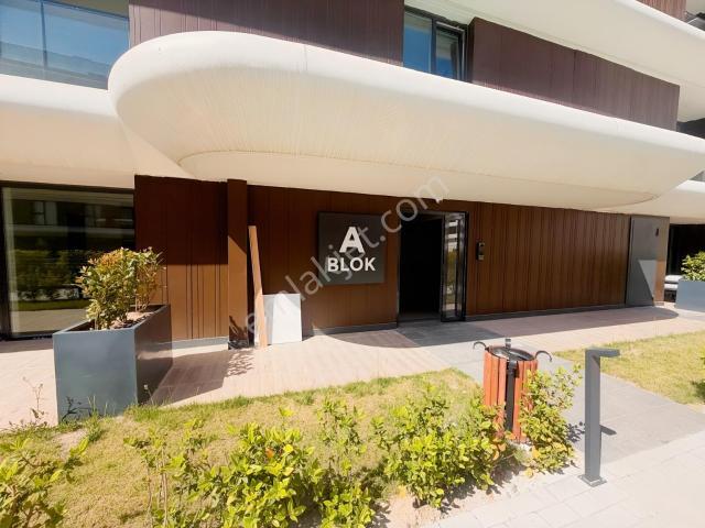 Yalova Merkez, Yalova içerisinde kiralık mülk