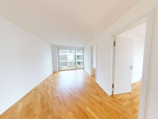 Apartment mieten in Massagno, Tessin
