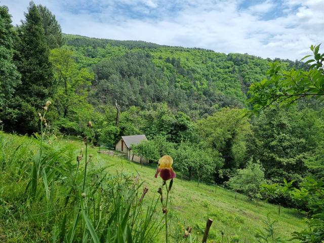 Maison vente à Florac, Saint-etienne-vallée-française