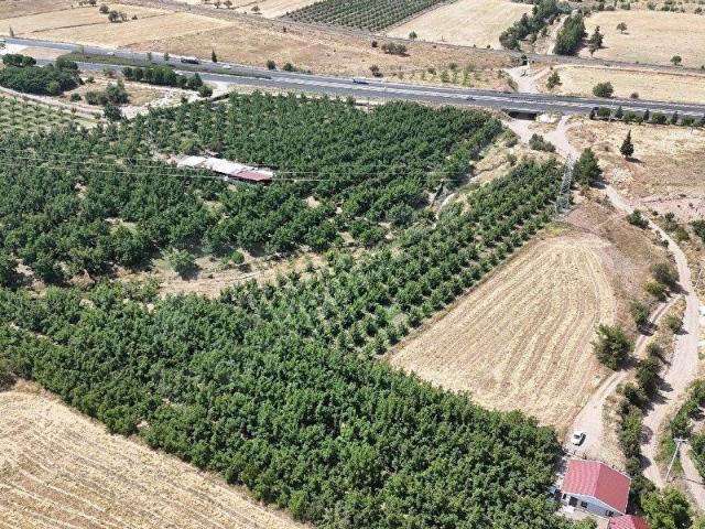 Bozkurt, Denizli içerisinde satılık Arsa