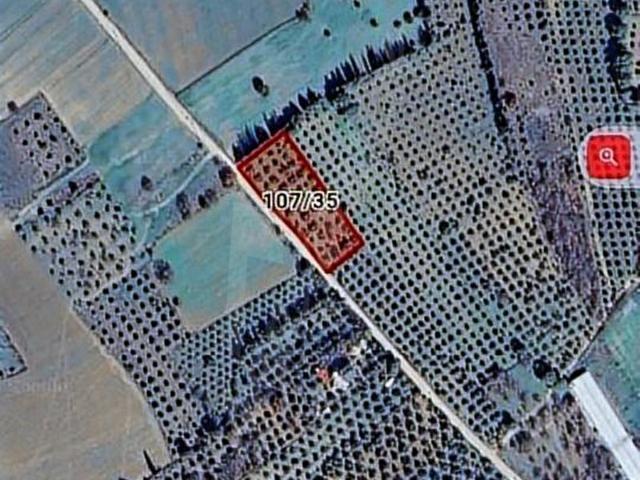 Burhaniye, Balikesir içerisinde satılık mülk