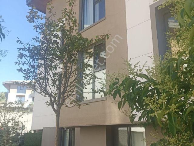 Üsküdar, İstanbul içerisinde kiralık mülk