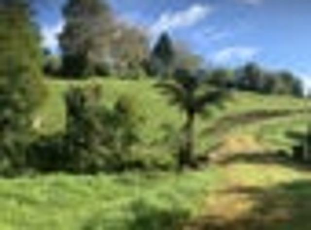 Land for sale in Karetu, Northland