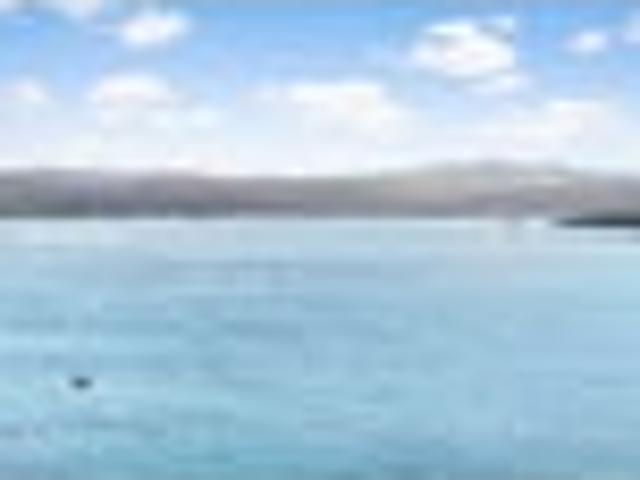 Land for sale in Matata, Wellington