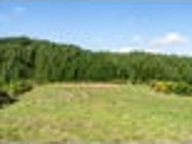 Land for sale in Papakaio, Wellington