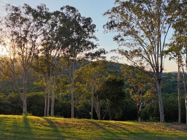 Land for sale in Kings Creek, Queensland